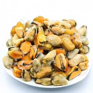 Mariscos Congelados de Primera Calidad, Mejillones con Concha, Proceso de Congelación BQF, 20 kg, Stock al por Mayor a Precio Económico - Product Image 1