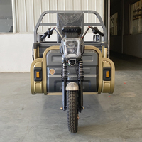 Moto à 3 roues Tuk Tuk Vélo électrique Livraison Transport de marchandises Ramassage Express
