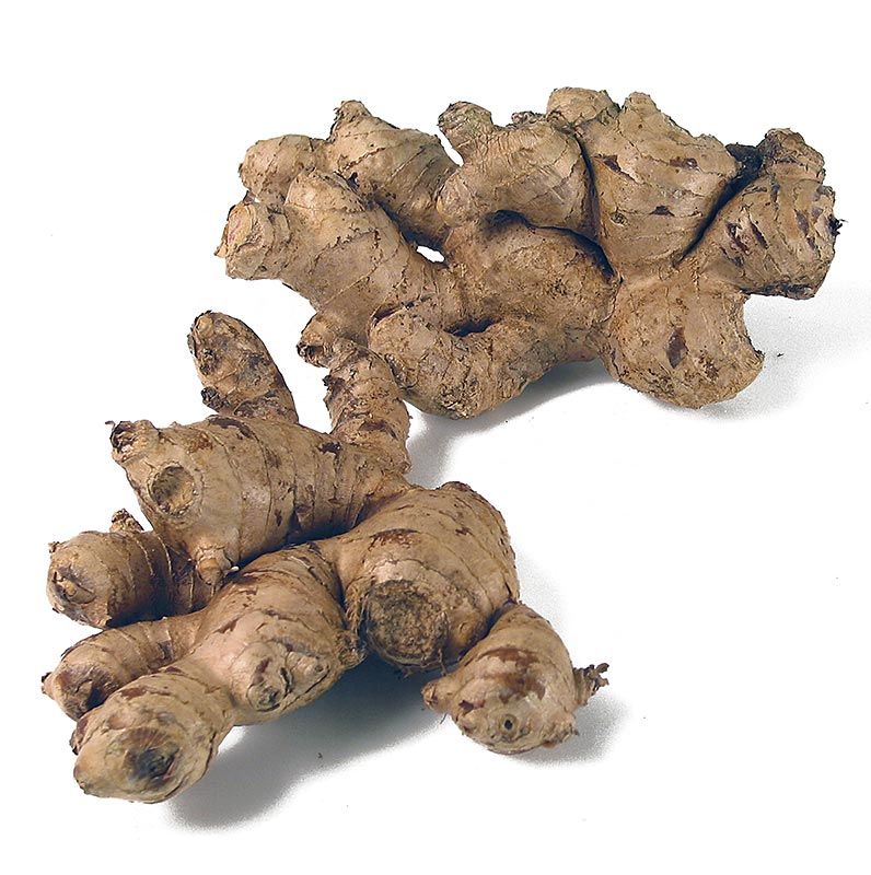 Buy Quality Vegetable Ginger dry and fresh Ginger at cheap price /wholesale price rate