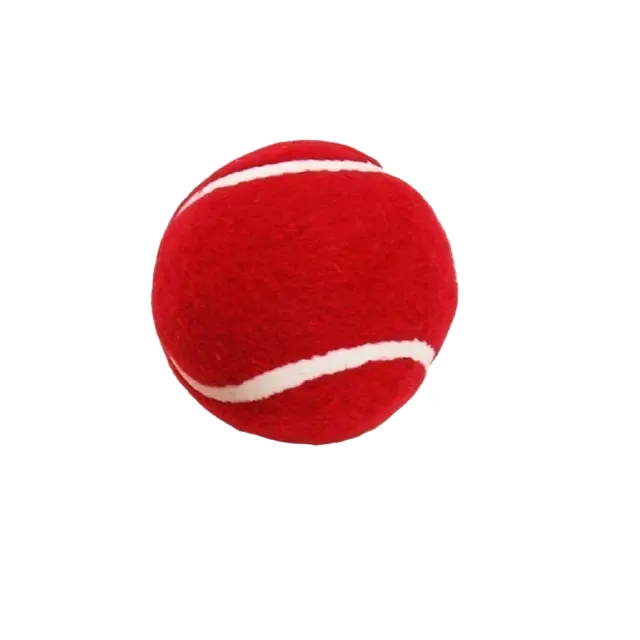 大人と子供が遊ぶためのカスタマイズされたサイズと色のテニスボールを備えた6個の高品質のゴム製テニスボールセットを購入する