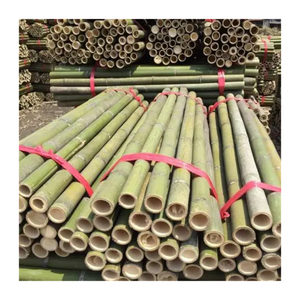 Poste de bambú de fábrica con tamaño personalizado para agricultura/Poste de bambú natural de Vietnam de alta calidad/Poste de bambú Premium - Product Image 6