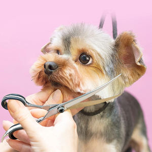 Ciseaux de toilettage de cheveux professionnels 7 pouces finition polonaise avec vis réglable et silencieux ciseaux de toilettage de cheveux pour animaux de compagnie - Product Image 5