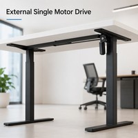 Telaio per Scrivania Regolabile in Altezza Professionale a Motore Singolo a 2 Stadi con Motore a Trave Singola Esposta per Ufficio Domestico Personalizzabile Secondo le Vostre Esigenze