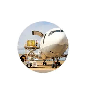 India to China DDP Ocean Freight Forwarder Shipping <b>Logistics</b> Transportation <b>Service</b> with Door-to-door Pickup and Delivery - Product Image 4
