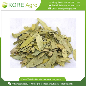 Chất lượng cao 100% tự nhiên hữu cơ <span class=keywords><strong>Senna</strong></span> lá trà thảo mộc cho bị mất trọng lượng ở mức giá tốt - Product Image 3