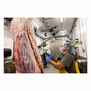 Top Grade Beef Carcass Wholesale Stock With Reliable Supply - Product Image 2