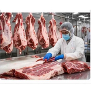 Vacuum Packed Halal Certified <b>Beef</b> Carcass/ Frozen <b>Beef</b> Meat Bulk Supply - Product Image 5