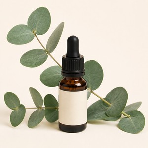 Pure Eucalyptus <b>Essential</b> <b>Oil</b> 10ml | Crisp Additive-Free Aroma | <b>Diffuser</b> Wholesale Bulk | US Stock - Product Image 1