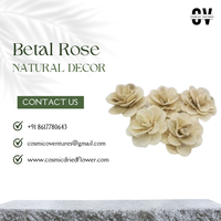 Bunga Kering Botani Berkualitas Tinggi COSMICO VENTURES LLP 2024 ED 13-01 Betal Rose Ukuran Khusus untuk Rumah, Pernikahan, Hari Ibu