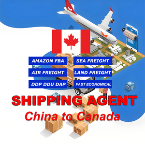 Spedizione Marittima LCL Express, Costi Marittimi DDP DDU, Agente di Spedizione dalla Cina a Regno Unito/USA/Canada/Europa - Product Image 4