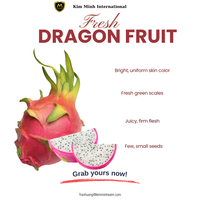 Premium Vers Drakenfruit Voor Groot-En Exportmarkten Uit Vietnam