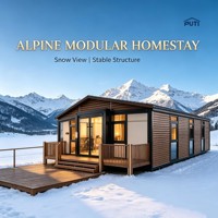 Maison conteneur modulaire extensible à double aile de 20 pieds, économique et résistante aux intempéries, idéale pour une maison de vacances