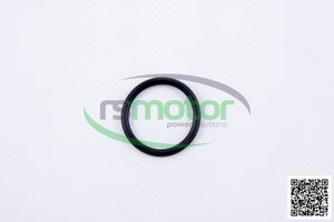 อะไหล่เครื่องจักรผลิตใหม่สำหรับเครื่องยนต์ก๊าซธรรมชาติสำหรับ RS-01167374 MWM - Product Image 3