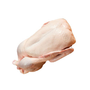 Wholesale Frozen Whole Duck Meat For Sale Ready for Export - Product Image 3