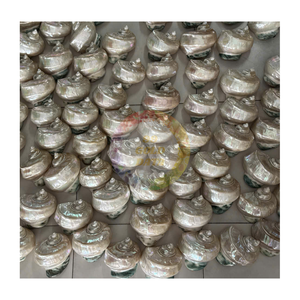 Perle Polie Jade Turbo Shell Nautique Animal Style Artisanat Souvenir Vert Naturel Coquillage Cadeau du Vietnam Artisanat - Product Image 1