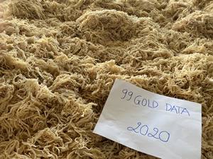 สาหร่ายไอริชมอสแห้ง ออร์แกนิค บริสุทธิ์ ผลิตภัณฑ์แห้งจากสาหร่ายยูเชมา สปิโนซัม ขายส่งจำนวนมาก - Product Image 3