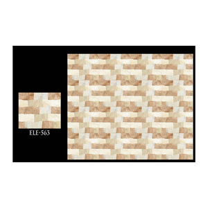 Azulejos de Pared Digitales de Cerámica Modernos de 300x600 mm para Uso en Interiores - Product Image 1