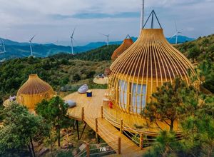 Cage à oiseaux de luxe personnalisée, grande maison d'arbre artificielle, structure en acier préfabriquée imperméable pour hôtels, villas, style victorien - Product Image 3