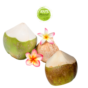 Producto agrícola Premium Coco pelado con diamantes Beneficios para la salud a largo plazo - Product Image 6