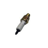 Bujía D8TC BM150 para Bajaj Boxer BM150, Pieza de Encendido Estándar para Vehículos de Dos Ruedas, Accesorios para Moto, Suministro al por Mayor