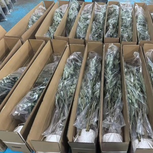 Cây ô liu nhân tạo bonsai trang trí trong nhà, cao 1,2m-4m, trồng chậu, kiểu dáng thân cây tự nhiên, xanh tươi - Product Image 6