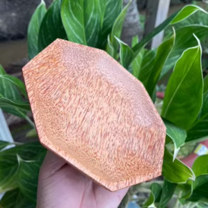 จานไม้มะพร้าวอุปกรณ์รับประทานอาหารจากธรรมชาติที่เป็นมิตรกับสิ่งแวดล้อมผลิตจากกะลามะพร้าวรีไซเคิลเพื่อการอยู่อาศัยที่ยั่งยืน - Product Image 3