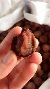 ลิ้นจี่อบแห้งแบบธรรมชาติเพื่อสุขภาพขนมส่งออก - Product Image 2