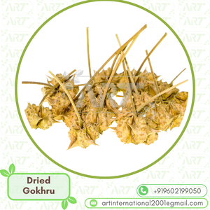 Gokhru Tribulus terrestris วัตถุดิบสมุนไพรสำหรับยาและอาหารเสริมธรรมชาติส่งออกคุณภาพสะอาด - Product Image 4