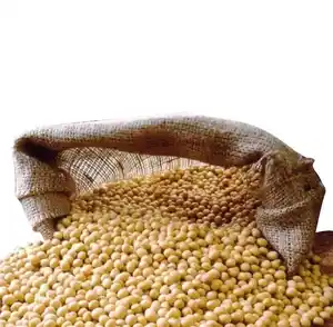 Soya Beans from Reputed Supplier Finest Quality Widely Selling Common Cultivation Type Fresh Cream White Soybeans 98.5% Min