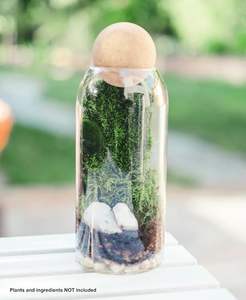 Terrarium <span class=keywords><strong>en</strong></span> verre avec couvercle <span class=keywords><strong>en</strong></span> bois hermétique, terrarium <span class=keywords><strong>fermé</strong></span>, pot de plantation, <span class=keywords><strong>bocal</strong></span> <span class=keywords><strong>en</strong></span> verre transparent, récipient de 1200 ml (40 oz), écosystème d'intérieur - Product Image 5