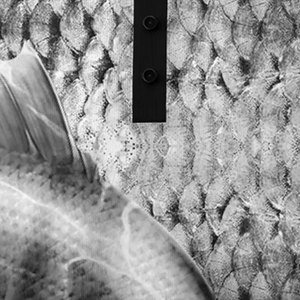 Camisas de Pesca para Hombre de Secado Rápido, Impermeables, de Color Sólido, Transpirables para Exteriores, 100% Poliéster, Precio de Fábrica - Product Image 4