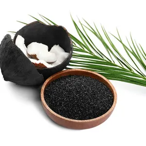 Activated carbon from coconut shell water treatment coal