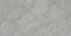 Fabrication indienne DLG-69 carreaux de porcelaine pour cuisines salles de bains salons et bureaux disponibles à un prix abordable - Product Image 5