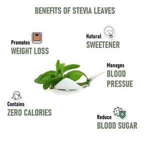 Chất làm ngọt tự nhiên <span class=keywords><strong>Stevia</strong></span> lá chiết xuất 98% steviosides <span class=keywords><strong>Stevia</strong></span> chiết xuất bột - Product Image 6
