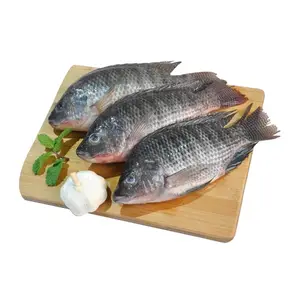 Fresh Frozen Organic Best Quality Tilapia Fish in Wholesale