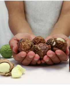 Huile de Tamanu organique de haute qualité de l'Inde pour une utilisation sur la peau dans l'industrie cosmétique grossistes fabricants exportateurs bas prix - Product Image 1