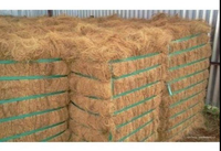 Fibre de sisal brute en mèche pour le filage, les tissus non tissés et le matériau de remplissage pour béton, écologique, longueur 110-130 cm