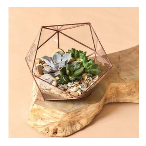 New Lightning Decoration Geometric Glass Terrarium Hanging <b>Vase</b> Home Decor Wedding and Lighting Item Gift Plants Terrariums - Product Image 4