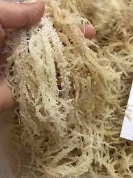 Algas marinas Eucheuma Cottonii de la venta caliente de la fuente de Vietnam por 99 Gold Data Factory - Product Image 3