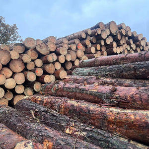 Bois de chauffage en chêne en gros, bois de chauffage séché au four à vendre - Product Image 1