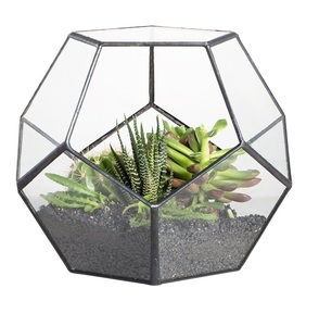 Vintage Design Glass Terrarium Geometric <b>Mini</b> Gardens for Air Plants Home Decor Office Decor At Best Price . - Product Image 6