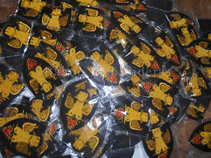 Material de la tela de la insignia de seda bordada con diseño de piña cosido - Product Image 5