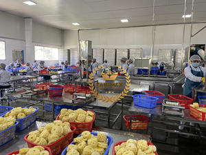 แพ็กเกจ OEM ยี่ห้อ Takimex สับปะรดกระป๋อง/ชิ้นในน้ำเชื่อมเบา (14-17% บริกซ์) จากเวียดนามคุณภาพดีมาก - Product Image 4