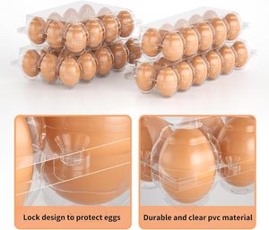 15 <b>Eggs</b> Durable Eco-Friendly PP Plastic <b>Egg</b> Tray Box 100% Recyclable Transparent Food Grade Packaging Carton Safe <b>Storage</b> Custom - Product Image 5