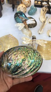 เปลือกหอยขนาดใหญ่7-10ซม. เปลือกหอยเปลือกหอยเป๋าฮื้อธรรมชาติสำหรับตกแต่งบ้าน - Product Image 2