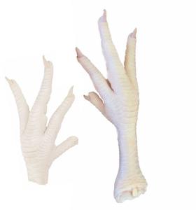 Patas de pollo congeladas de primera calidad ofrecidas para compradores y distribuidores mayoristas - Product Image 3