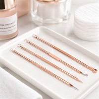 Extracteur de points noirs tendance 4 pièces en acier inoxydable or rose avec étui transparent pour le visage