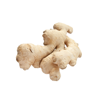 Gingembre-Un aliment polyvalent pour chaque cuisine