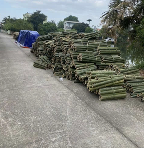 Bâtons de bambou fendus durables pour l'artisanat et la tresserie, matériau naturel fabriqué à la main au Vietnam pour des projets créatifs haut de gamme - Product Image 3