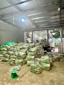 Lemongrass orgánico congelado IQF Mejor precio para ventas al por mayor Alta CALIDAD DE Vietnam Lemongrass congelado a precios competitivos - Product Image 5